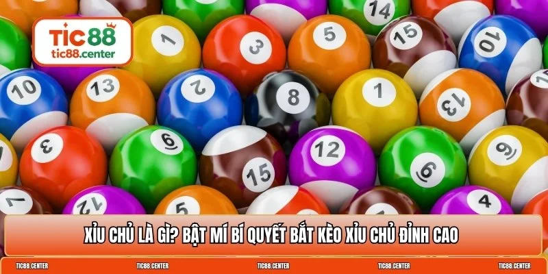 Xỉu chủ là gì
